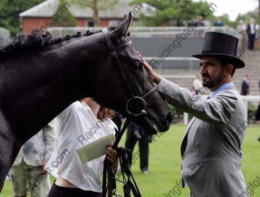Hellveylyn and Sheikh Mohamed after winning The Coventry Stakes-june 20.jpeg