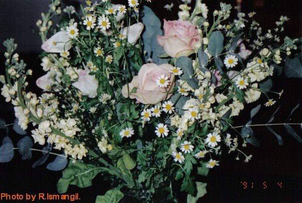 Royaltys flowers  12.jpg