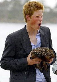 prince_harry,0.jpg