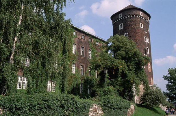 Wawel Castle Krakow 07.JPG